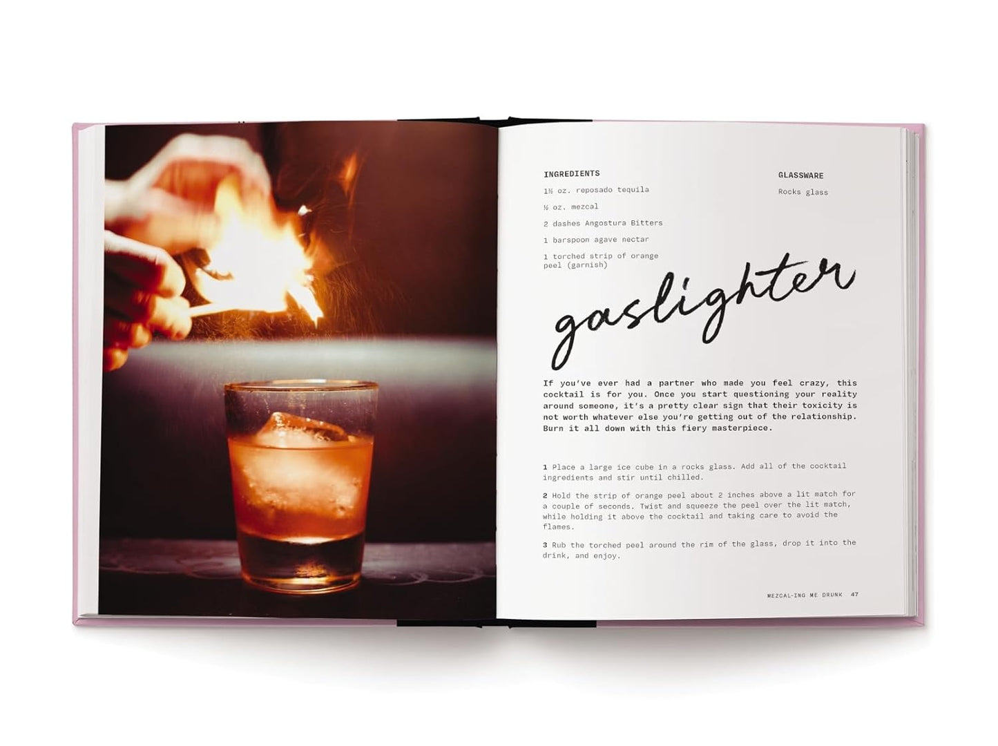 Pour Decisions: 100 Cocktails Inspired by Your Ex - Findlay Rowe Designs
