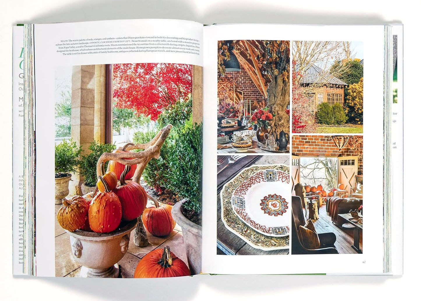 Flowering Outdoors: Gardens & Parties - Findlay Rowe Designs
