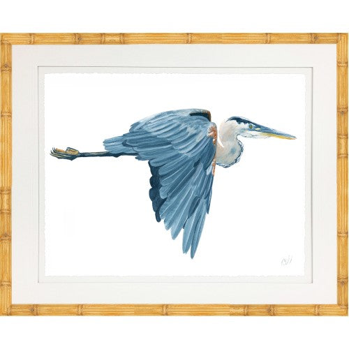 Framed Print - Blue Heron in Flight - Kate Sherrill