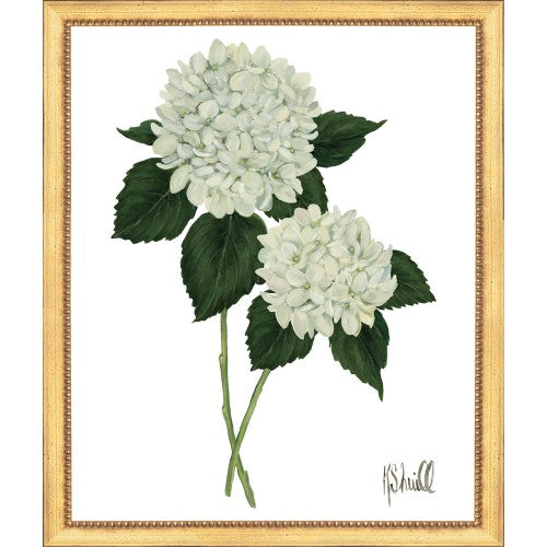 Framed Print - Hydrangea Bloom 22x26 - Kate Sherrill