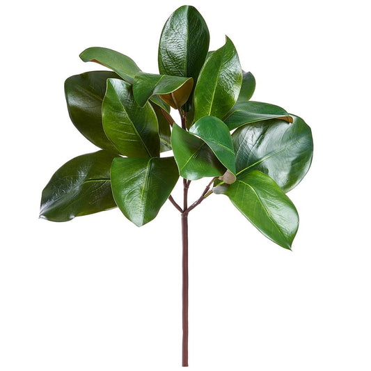 Spray - Magnolia Leaf - Green - 16"