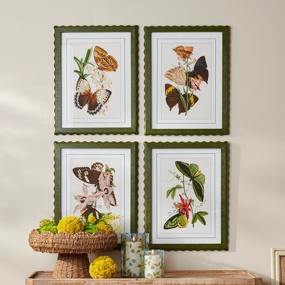 Raz Imports - Framed Art Print - Butterflies - Findlay Rowe Designs
