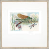 Framed Print - Dragonflies 22x18 - Charles Leonard