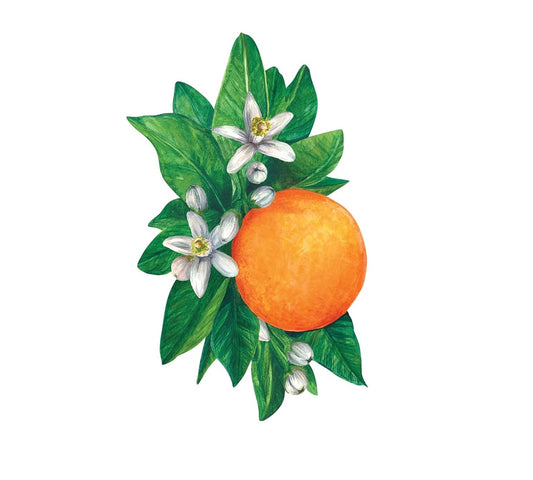 Hester & Cook - Table Accent - Orange Blossom - Findlay Rowe Designs