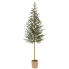 Cypress Topiary Tree in Pot
