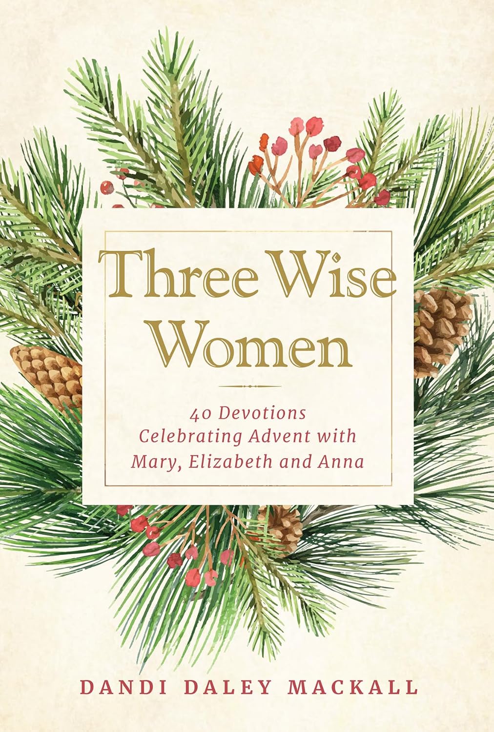 Three Wise Women: 40 Devotions Celebrating Advent with Mary Elizabeth and Anna