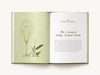 Sip and Sensibility: An Inspired Literary Cocktail Collection - Findlay Rowe Designs