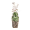 Mud Pie - Candle - Topiary - Findlay Rowe Designs