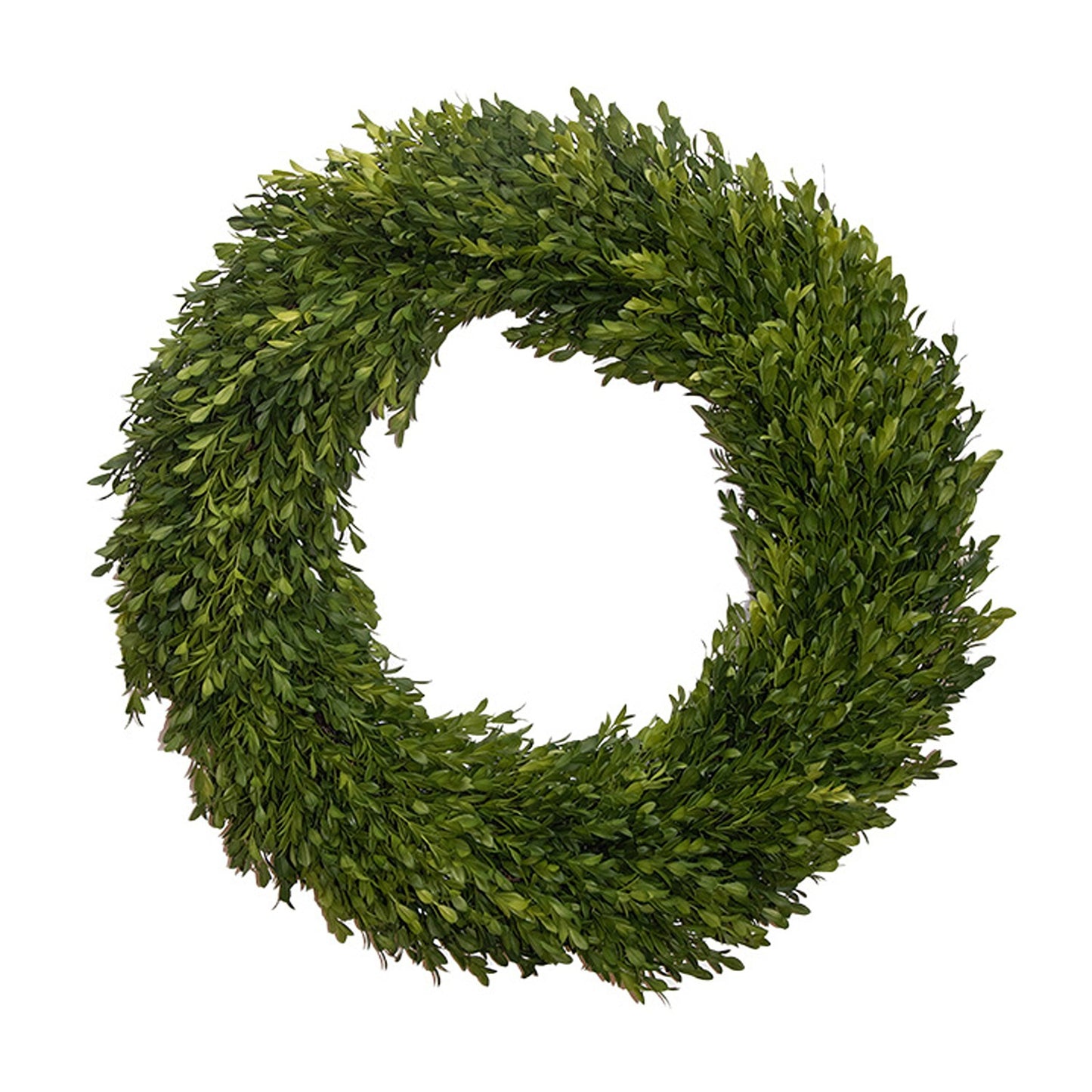 Fig & Dove - Boxwood Wreath - 24in - Round - Findlay Rowe Designs