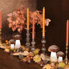 Beatriz Ball - Cambridge  Emma 10.5" Candle Holder - Glass - Findlay Rowe Designs
