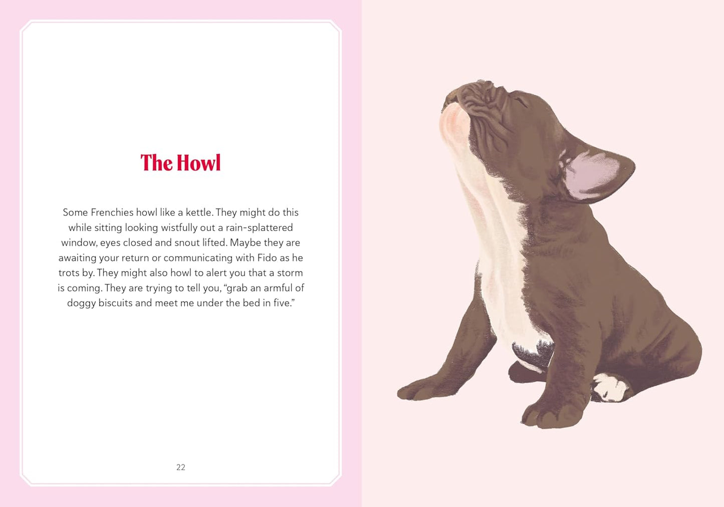 A Frenchie Life: What to Know and Love about the French Bulldog - Findlay Rowe Designs