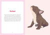 A Frenchie Life: What to Know and Love about the French Bulldog - Findlay Rowe Designs