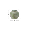 Ginger Jar - 9.5in - Green