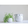 Terracotta Planter with Raised Dots - Findlay Rowe Designs