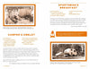 Camp Cooking, new edition - Findlay Rowe Designs