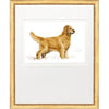 Framed Print - Hunting Dog - Kate Sherrill