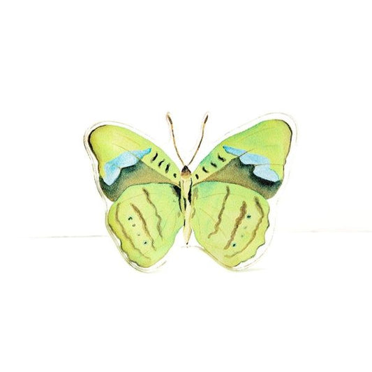 Catherine Cartie - Acrylic Art Block - Butterfly - Green - Large - Findlay Rowe Designs