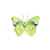 Catherine Cartie - Acrylic Art Block - Butterfly - Green - Large - Findlay Rowe Designs