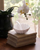 Beatriz Ball - Vida Vienna Bowl with Spoon - White - Findlay Rowe Designs