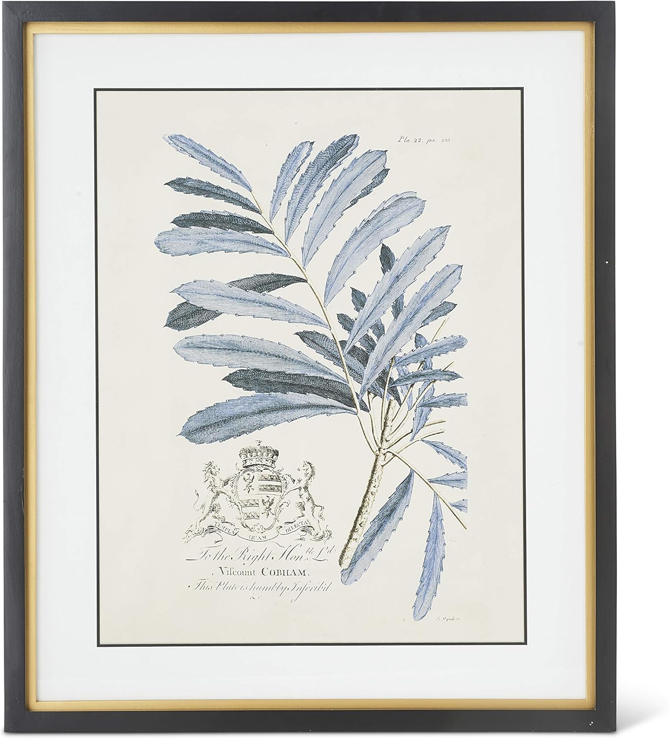 Framed Print - Blue Arbor - 23.75in - Findlay Rowe Designs