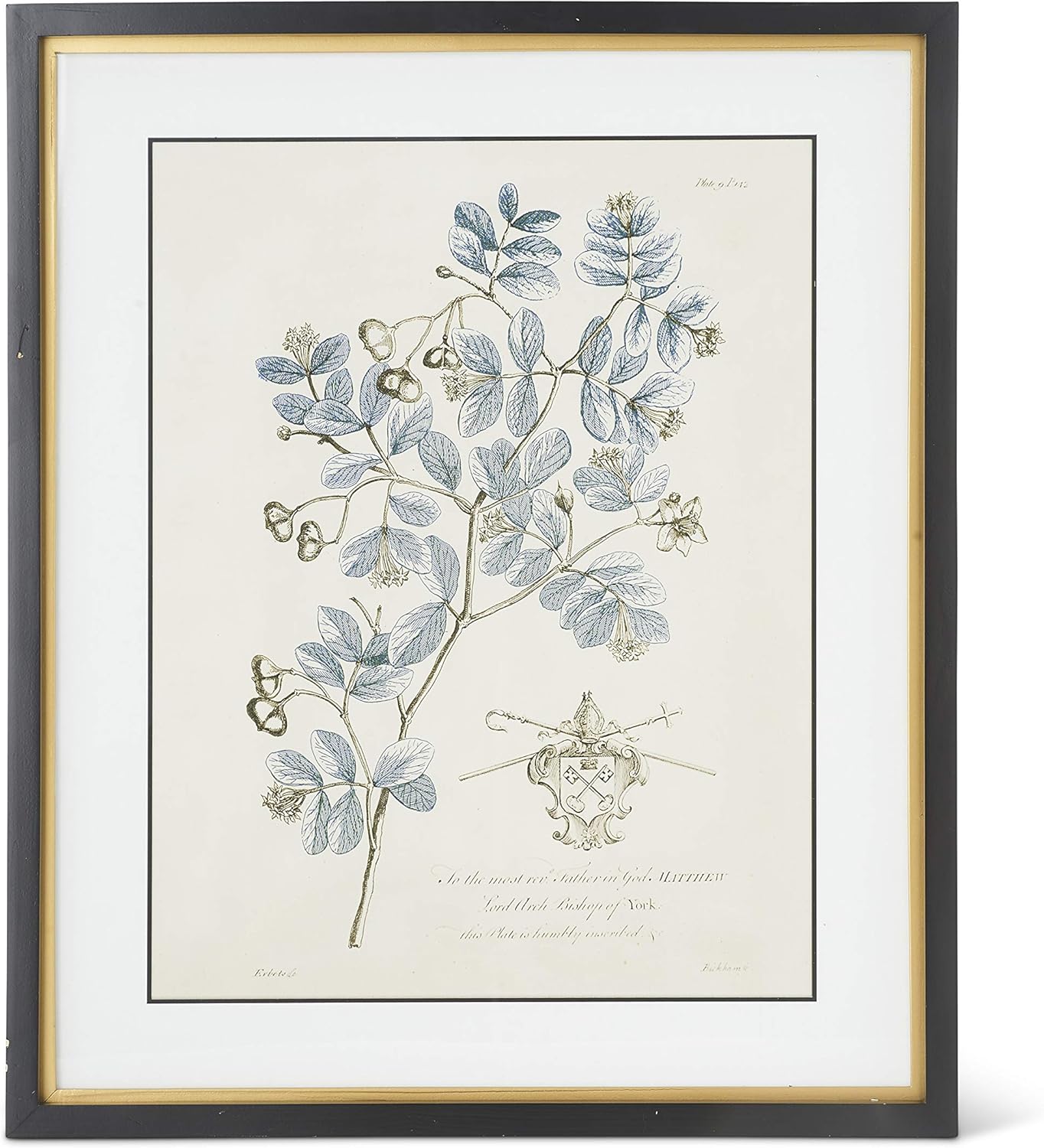 Framed Print - Blue Arbor - 23.75in - Findlay Rowe Designs