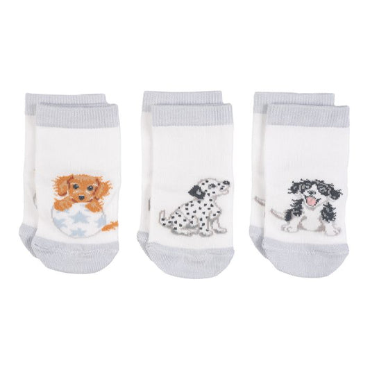 Wrendale - Baby Socks - Little Paws - Dog - Findlay Rowe Designs