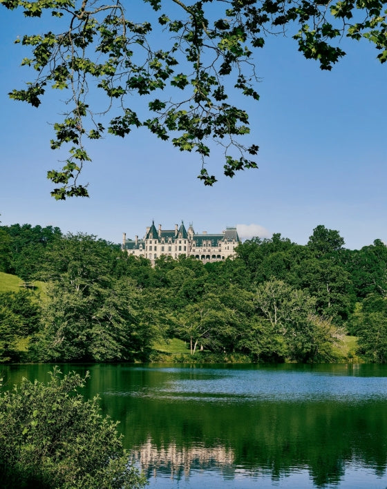 Biltmore House: The Interiors and Collections of George W. Vanderbilt - Findlay Rowe Designs