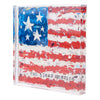 Glory Haus - Acrylic Art - Flags Stars & Stipes - Findlay Rowe Designs