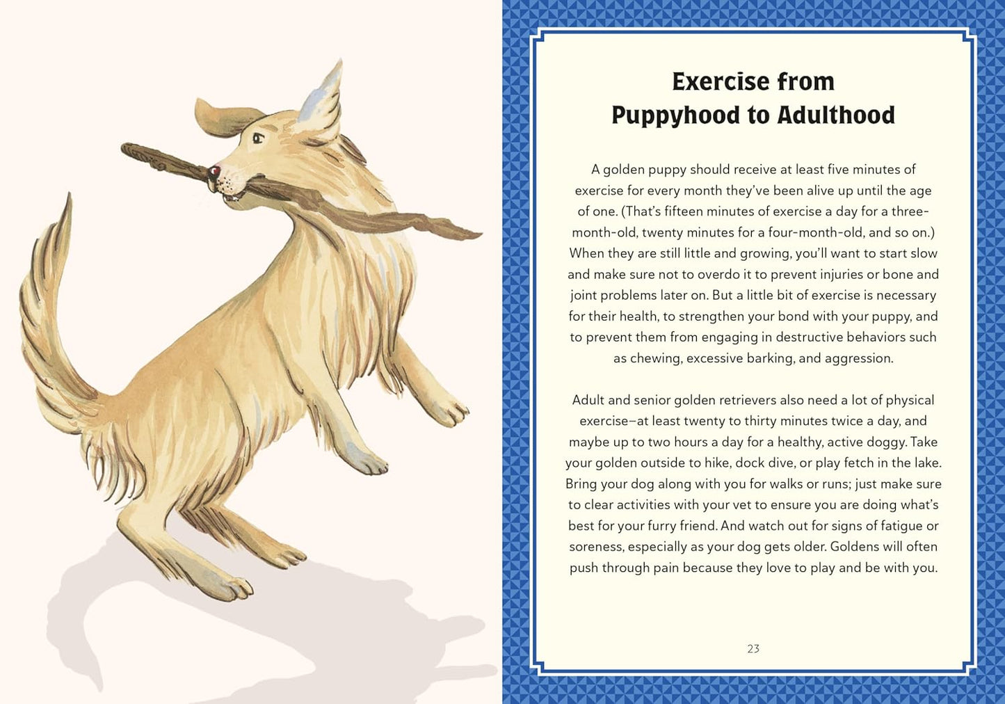 A Golden Life: What to Know and Love about the Golden Retriever - Findlay Rowe Designs