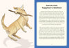 A Golden Life: What to Know and Love about the Golden Retriever - Findlay Rowe Designs