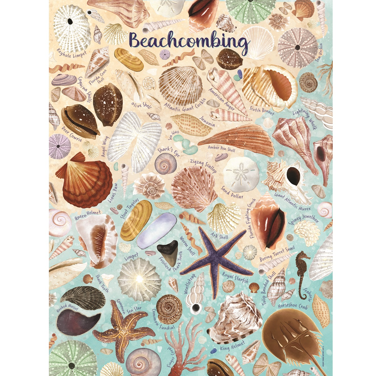 True South Puzzle - Beachcombing - 500 piece
