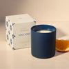 Capri Blue -  Boxed Tumbler Candle 8oz - Volcano Terrazza Velluto - Findlay Rowe Designs