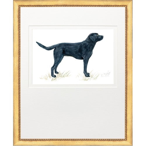 Framed Print - Hunting Dog - Kate Sherrill