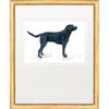 Framed Print - Hunting Dog - Kate Sherrill