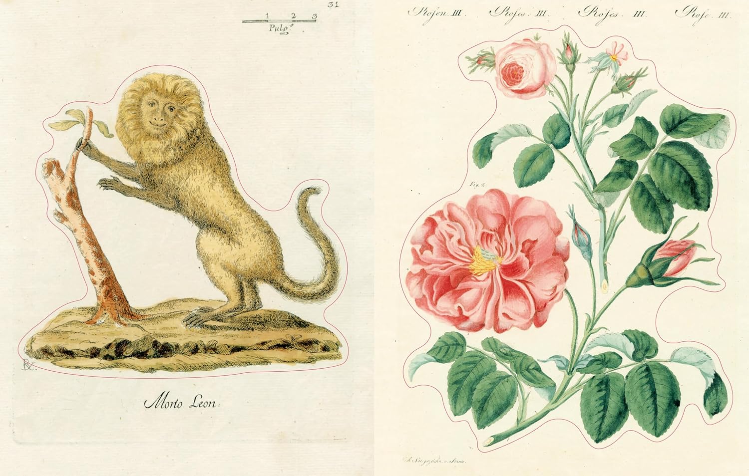 洋書ジョン・デリアン(JOHN DERIAN) STICKER BOOK Amazon.com: John Derian Sticker Book (John Derian Paper Goods