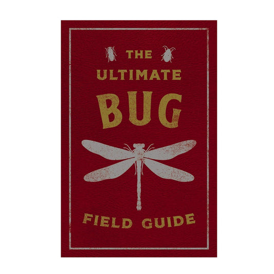 The Ultimate Bug Field Guide - Findlay Rowe Designs