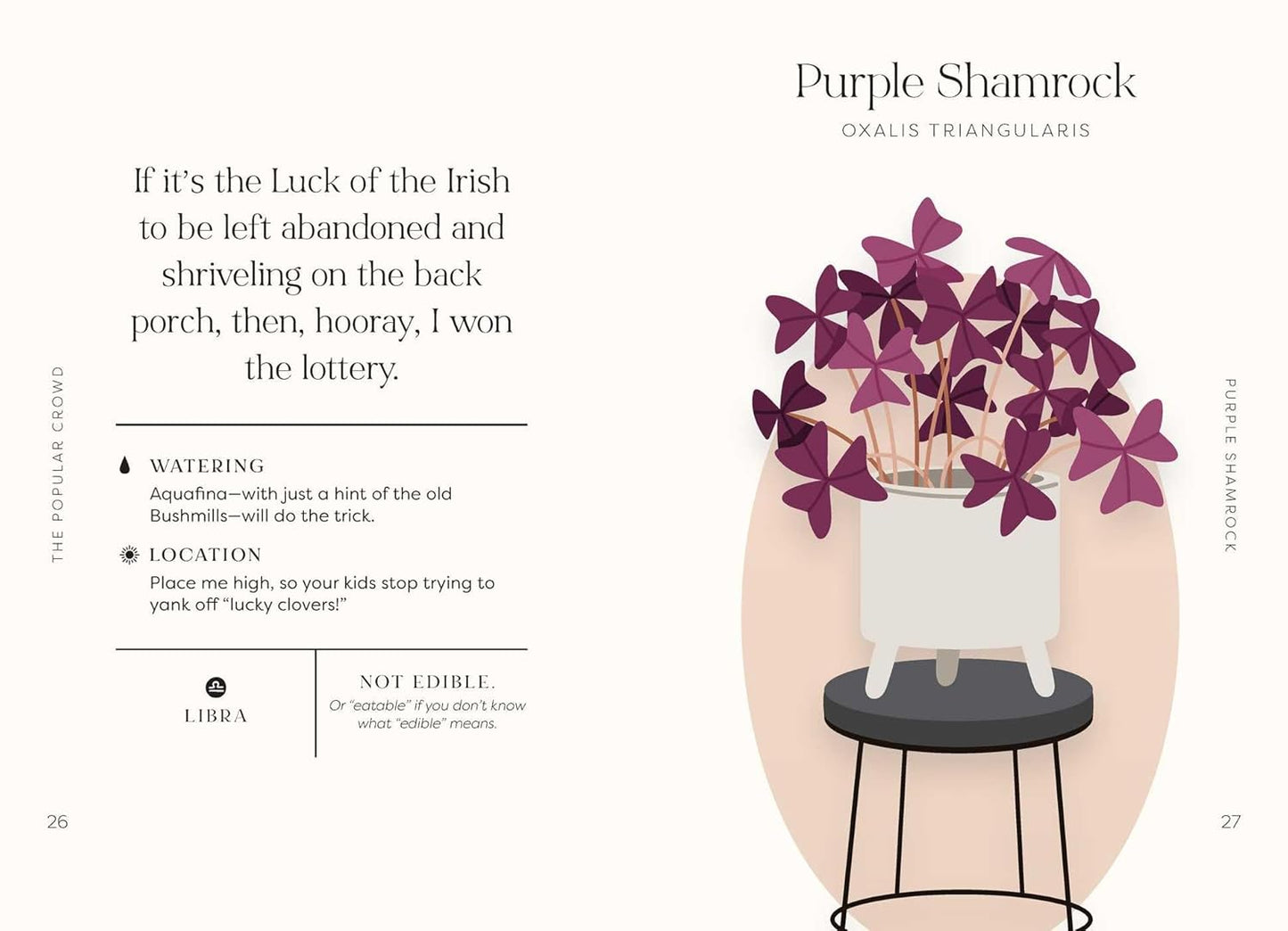 Houseplants and Their F*cked-Up Thoughts - Findlay Rowe Designs
