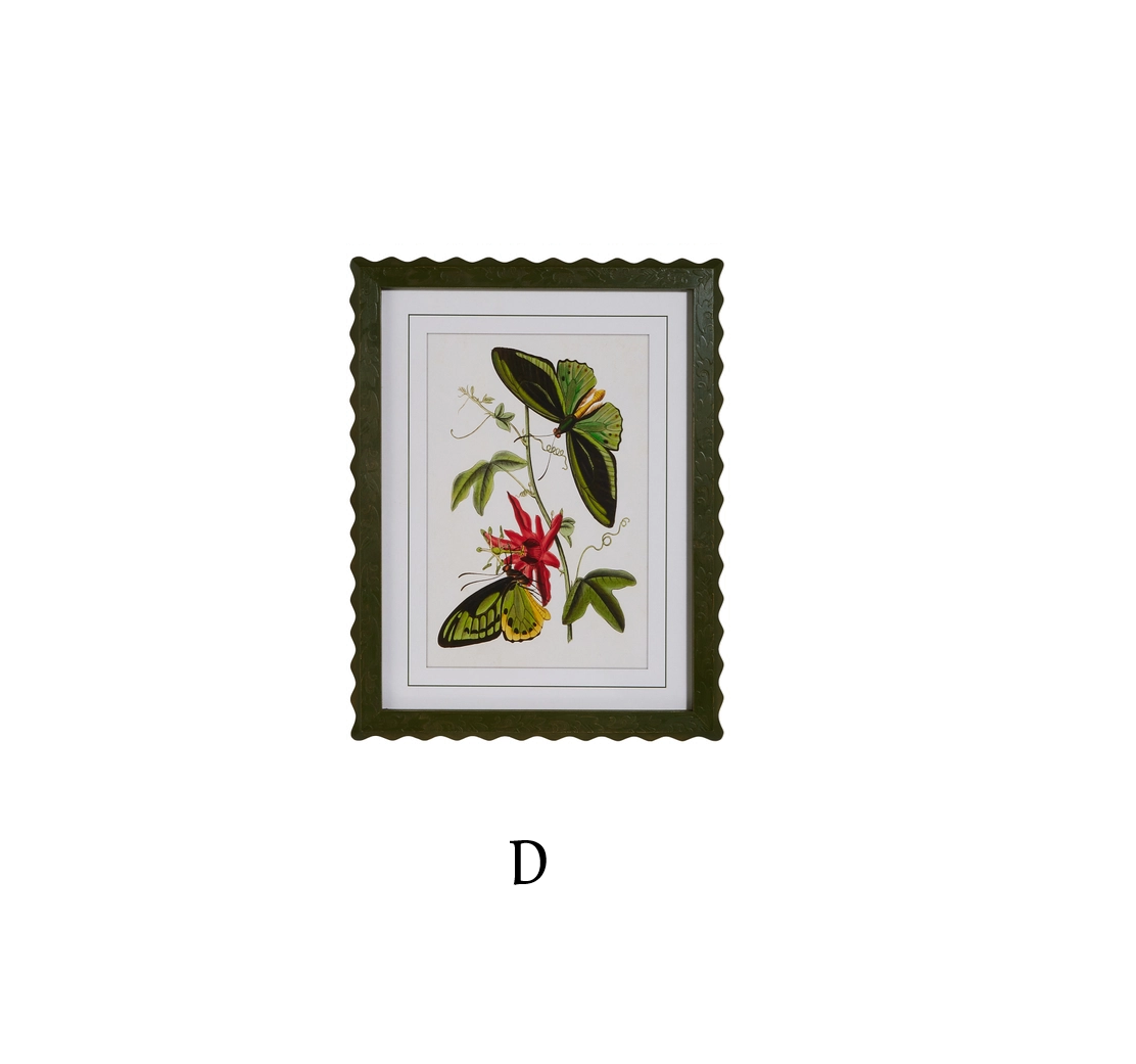 Raz Imports - Framed Art Print - Butterflies - Findlay Rowe Designs