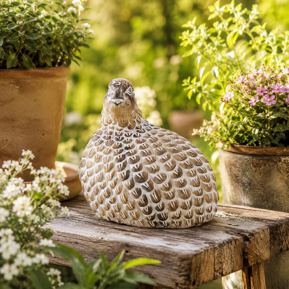 Sculpture - Quail - . Tan Whitewashed - 6.25in - Findlay Rowe Designs