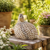 Sculpture - Quail - . Tan Whitewashed - 6.25in - Findlay Rowe Designs