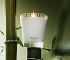 NEST - Candle - Classic 8.1 oz - Bamboo - Findlay Rowe Designs