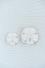 Catherine Cartie - Acrylic Art Block - Sand Dollar - Small - Findlay Rowe Designs