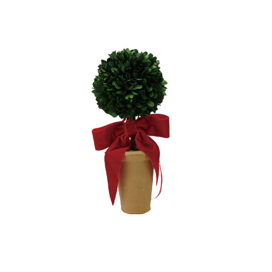 Topiary - Dried Boxwood - Red Velvet Bow - Findlay Rowe Designs