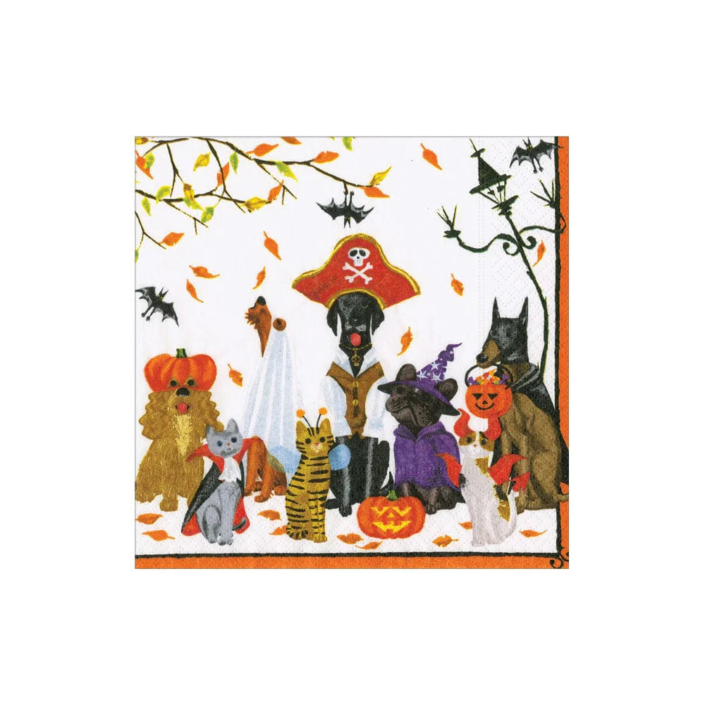 Caspari - Cocktail Napkins - Halloween Pets - Findlay Rowe Designs