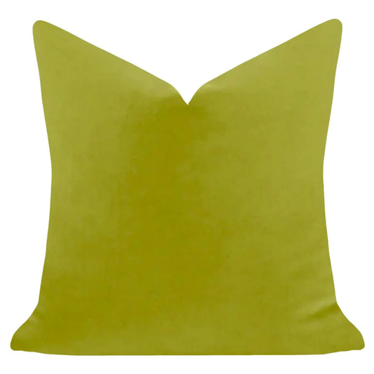 Laura Park-Green 22x22 Solid Velvet Pillow