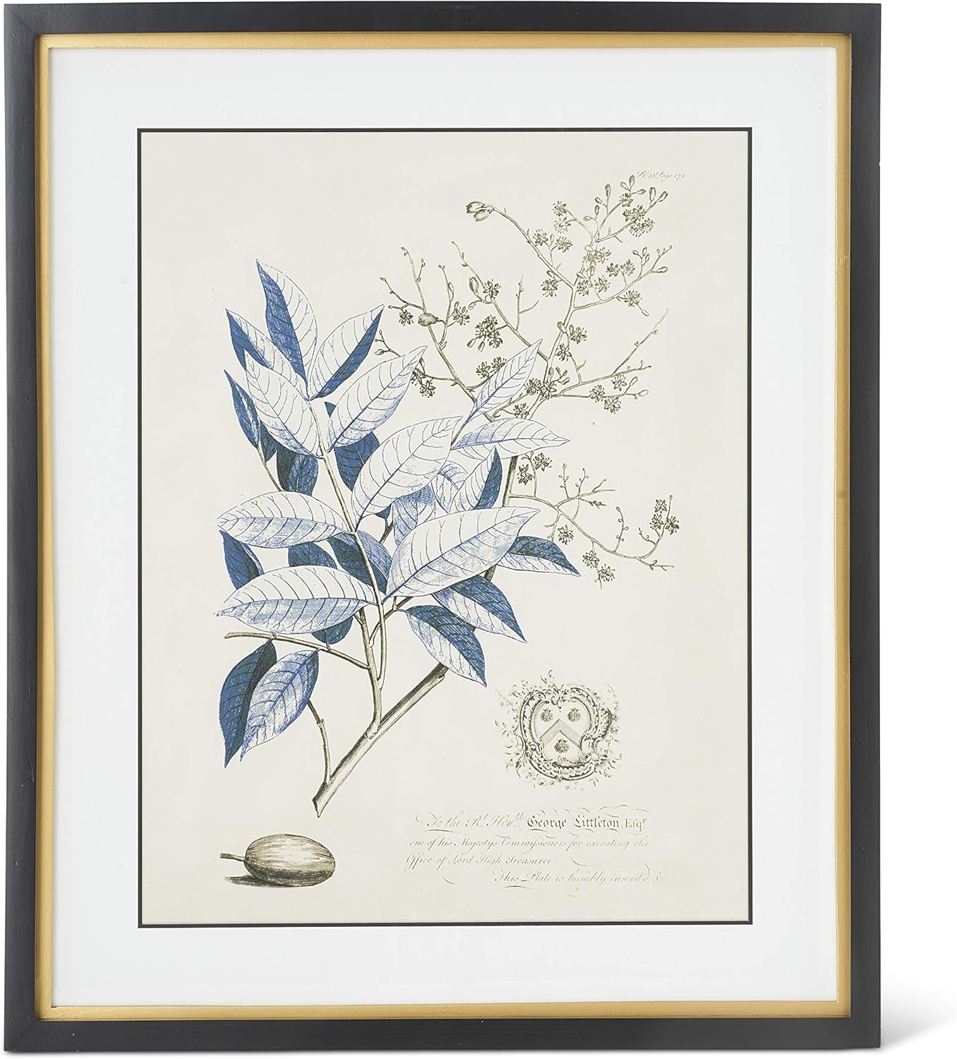 Framed Print - Blue Arbor - 23.75in - Findlay Rowe Designs