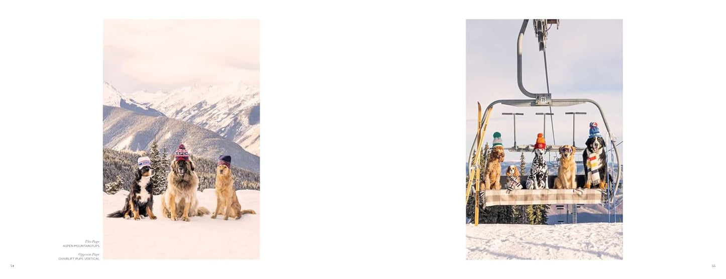 Gray Malin: Dogs: Photographs - Findlay Rowe Designs
