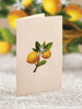 Fresh Cut Paper - Pop Up Bouquet Matching Card - Mini Lemon Blossom Tree - Findlay Rowe Designs