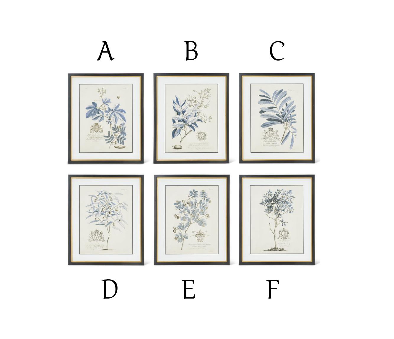 Framed Print - Blue Arbor - 23.75in - Findlay Rowe Designs