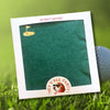 Hey Y'all Party - Napkins - Cocktail - Golf Gold Foil - Green - Findlay Rowe Designs
